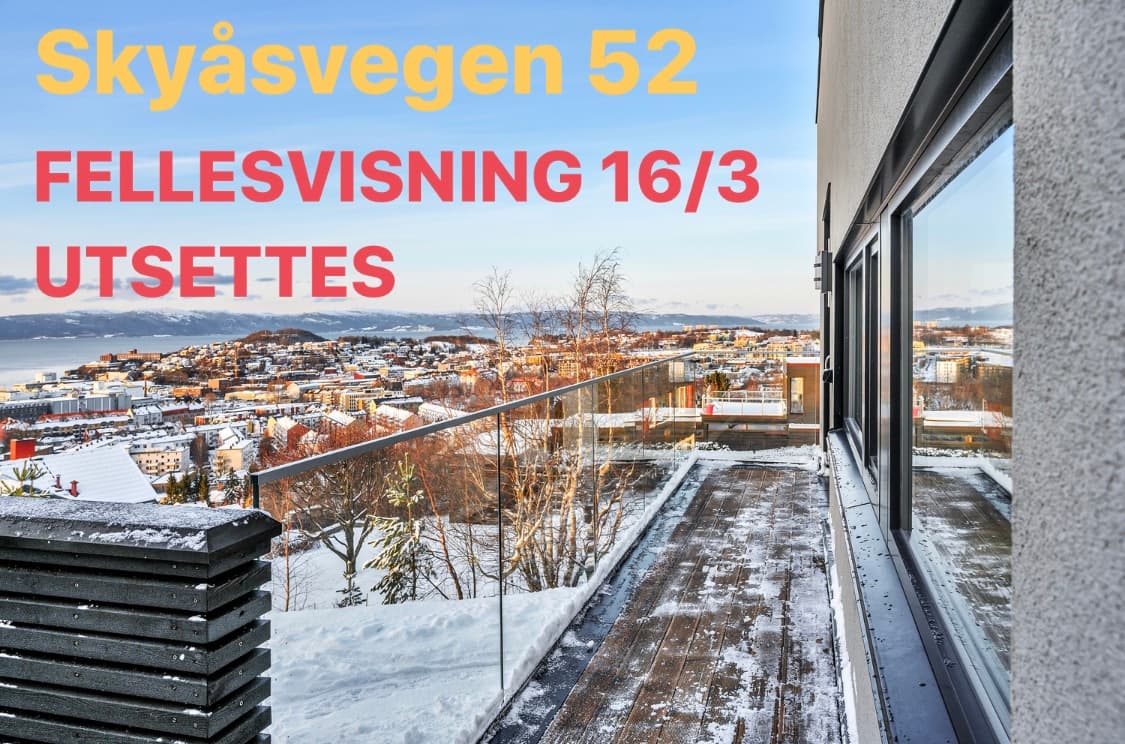 Skyåsvegen 52 - fellesvisning utsatt